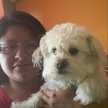 Marcela Cotte Corredor