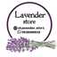Lavender_stor1