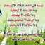 Allawe Kareem