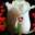 فخوره بديني