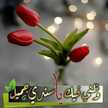 ام لولو