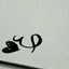 اميره زوجي