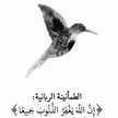 آميرة 
