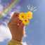 noof