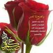 وردة الياسمين