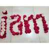 I'in Manurung