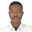 Emmanuel O. Ogunyomi