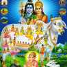 Dhruvi Bhatt Dhruvi Bhatt