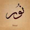 Yasmen Nour