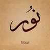 Yasmen Nour