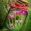 Zaynab Z