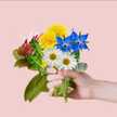 Anshi Garg