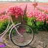 peony