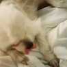 timetogoodnight