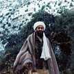 Rinad Shaker