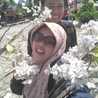 Phicha Phichuk Phicha Phichuk