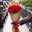 Anaam Khoury