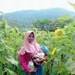 Ummi Mufidah