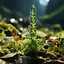 Moss Flower