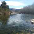 Daniela 😊