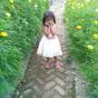 Shill Fiia