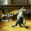  لميس