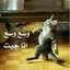  لميس