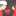 Shantika_Novita channell Shantika_Novita channell