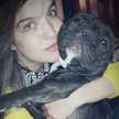 Cane Sarrat