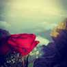 🌹 RAGHAD 🌹