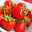 Alimentation en Conscience