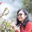 Suzanna Dwi Dhamayanti