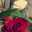 maram
