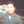 Josue Mendoza