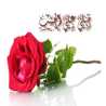 Mayada Yasser Mayada Yasser
