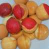 ummu ajmal pastries