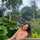 Bessy Lorie Giron Sanchez Bessy Lorie Giron Sanchez