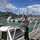 Thi Hoa Giang 