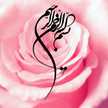 زهرة النرجس