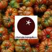 El tomate tranquilo