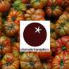 El tomate tranquilo