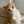 cathhy b