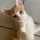 cathhy b cathhy b