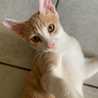 cathhy b cathhy b
