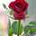 زهرا منصوری زهرا منصوری