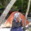 Wardah