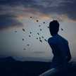Ahmad Alselwy
