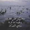 فلك حمشو