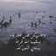فلك حمشو