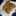 Fatima Oum Yasser Fatima Oum Yasser